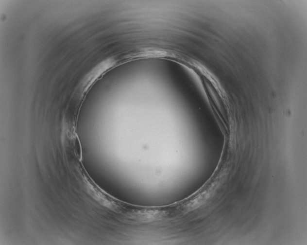X0000086071193200703301058