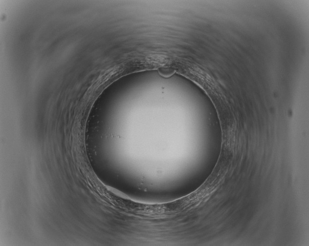 X0000086071201200703301057