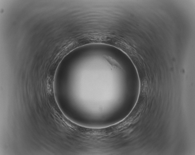 X0000086071202200703301057