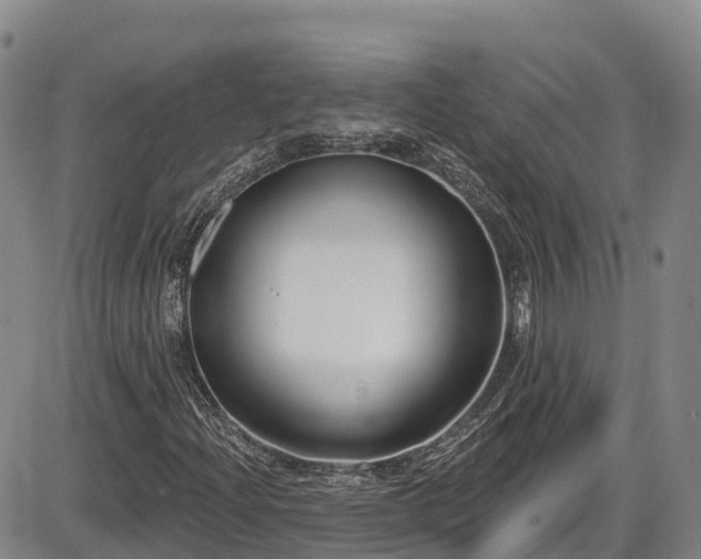 X0000086071204200703301057
