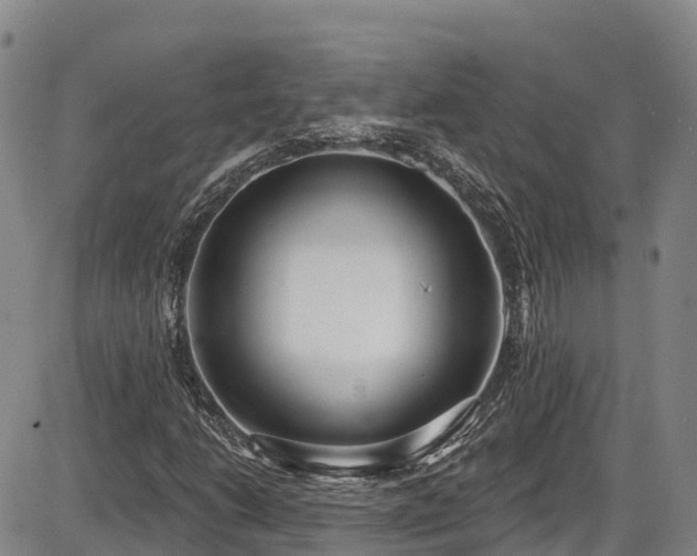 X0000086071206200703301057