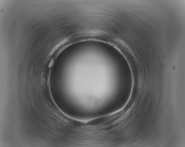 X0000086071210200703301058