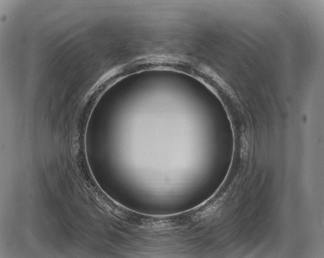 X0000086071213200703301058