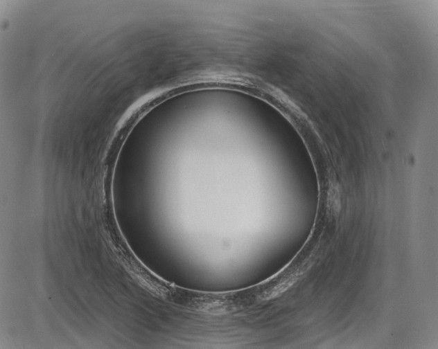 X0000086071222200703301058