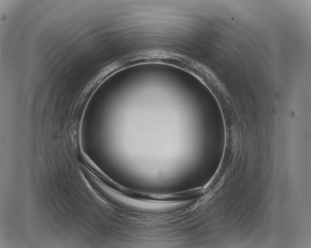 X0000086071225200703301058