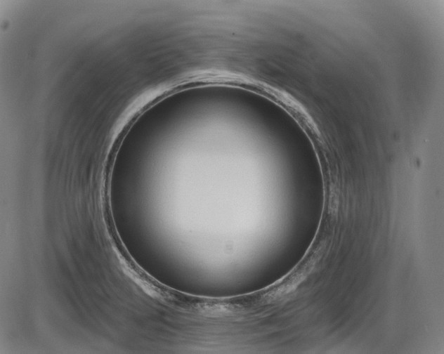 X0000086071231200703301058