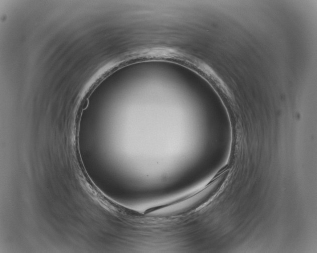X0000086071232200703301058