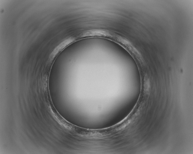 X0000086071233200703301058