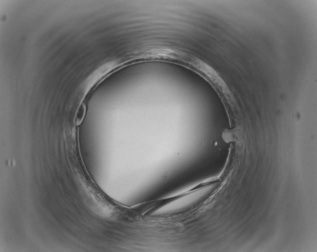 X0000086071234200703301058