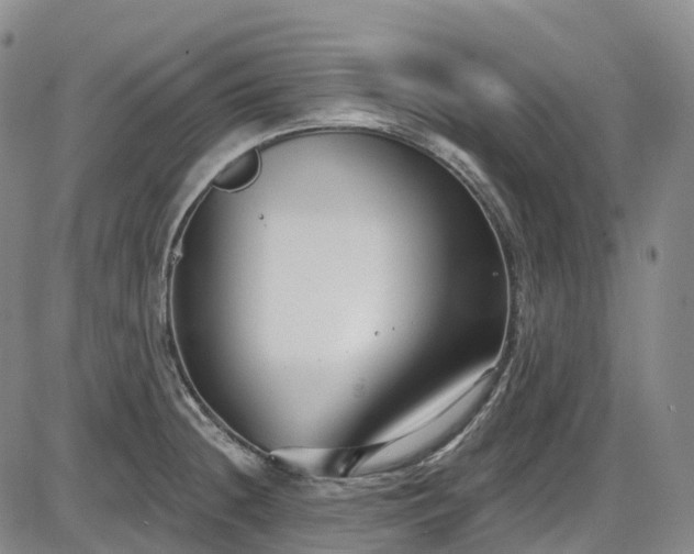 X0000086071236200703301058