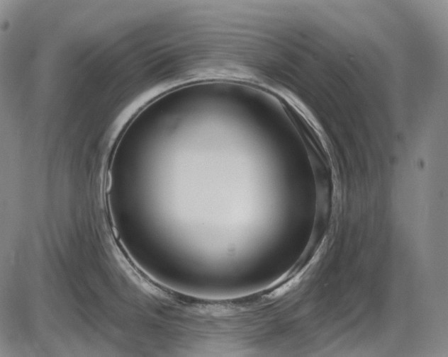 X0000086071246200703301058