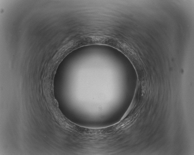 X0000086071249200703301057