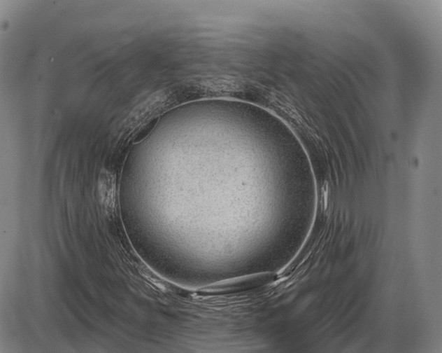X0000086071251200703301057