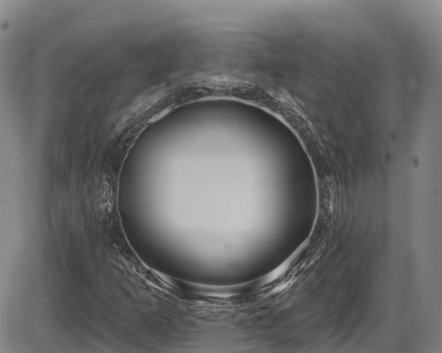 X0000086071253200703301057