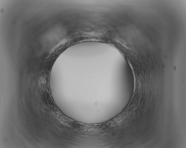 X0000086071254200703301057
