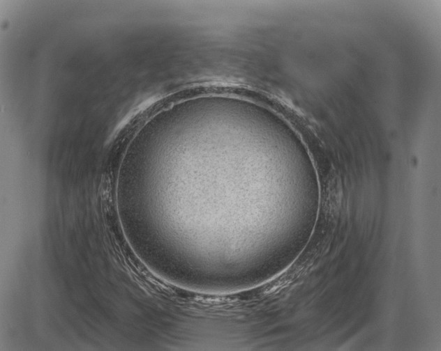 X0000086071255200703301057