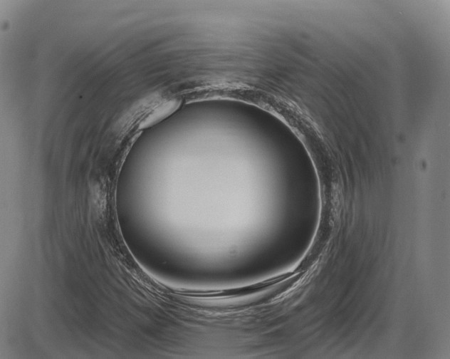 X0000086071257200703301057