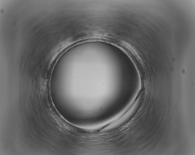 X0000086071260200703301057