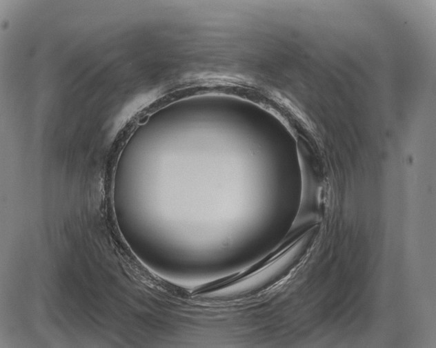 X0000086071261200703301057