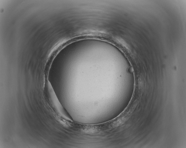 X0000086071267200703301057