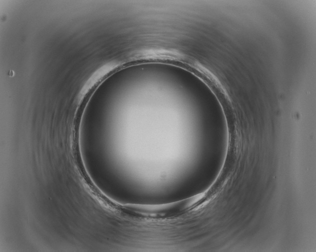 X0000086071277200703301057