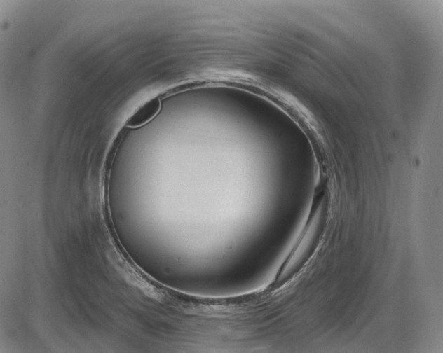 X0000086071280200703301057