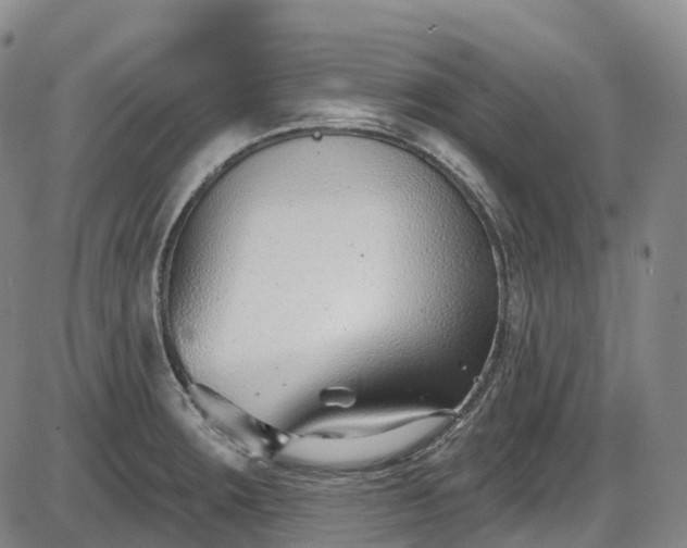 X0000086071283200703301057