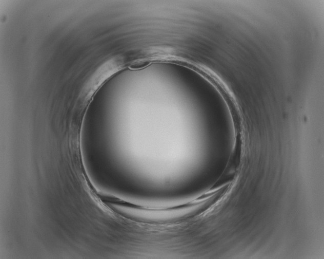 X0000086071289200703301057