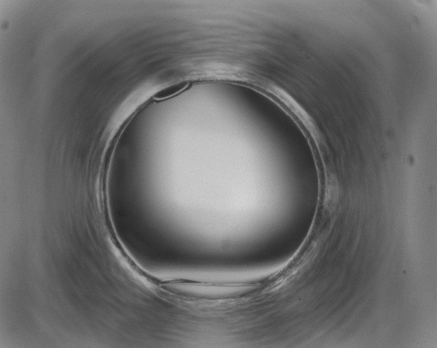 X0000086071293200703301057
