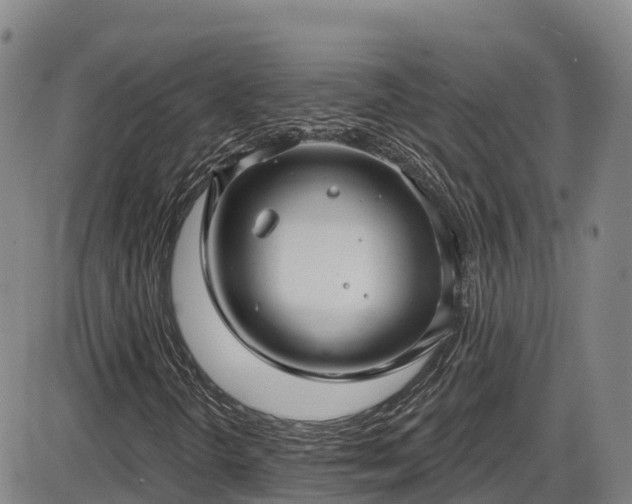 X0000086071298200703301056