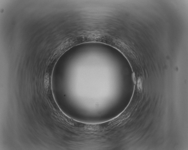 X0000086071299200703301056