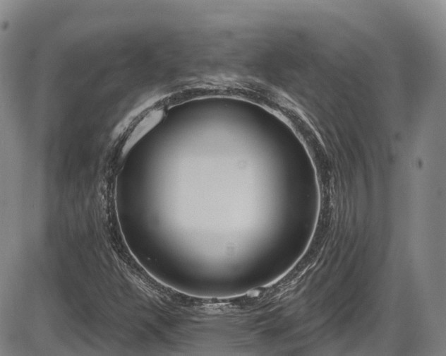 X0000086071304200703301056