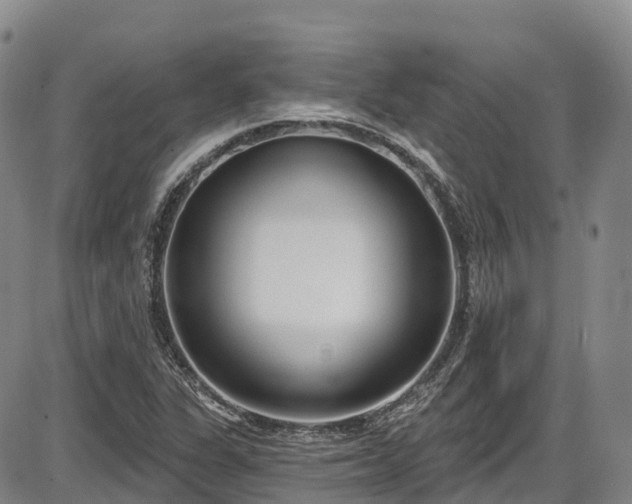 X0000086071311200703301056