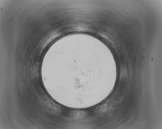 X0000086071314200703301056