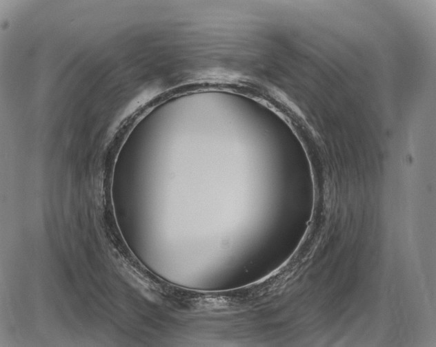 X0000086071315200703301056