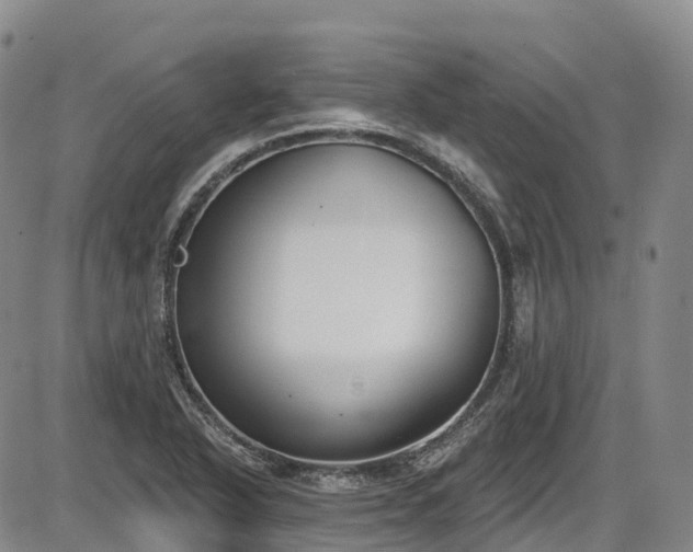 X0000086071318200703301056