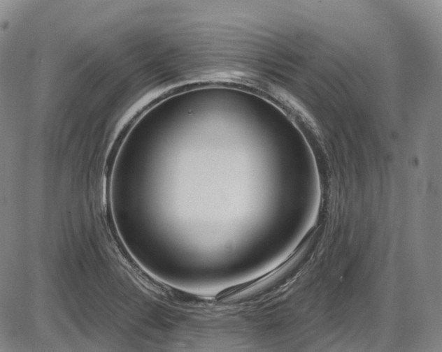 X0000086071324200703301056