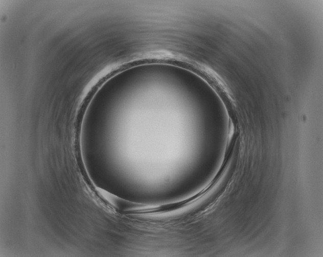 X0000086071326200703301056
