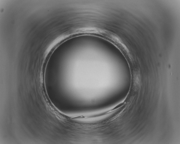 X0000086071328200703301056