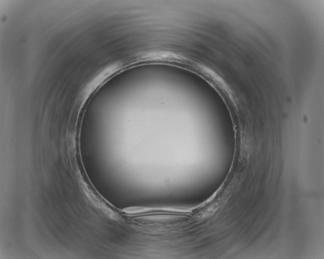X0000086071330200703301056