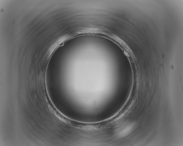 X0000086071337200703301056