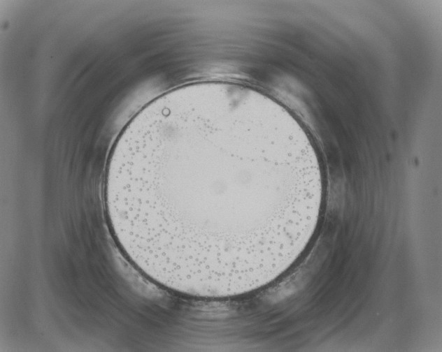X0000086071338200703301056