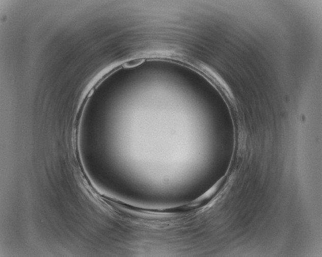 X0000086071340200703301057