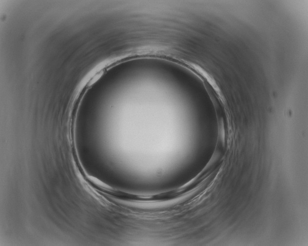 X0000086071342200703301057
