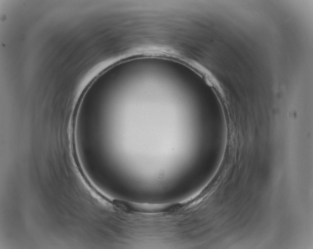 X0000086071343200703301057