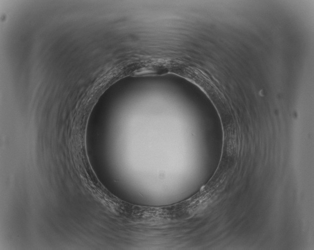 X0000086071345200703301056