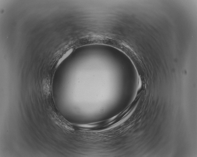 X0000086071348200703301056