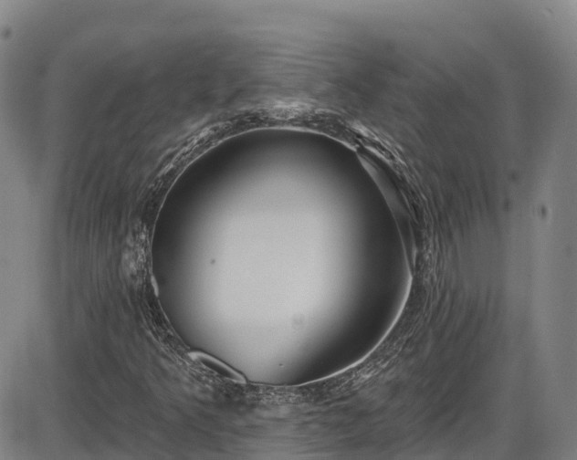 X0000086071349200703301056