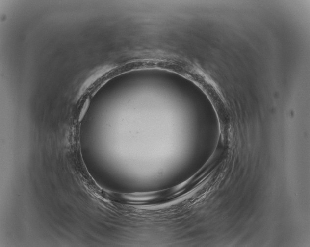 X0000086071352200703301056