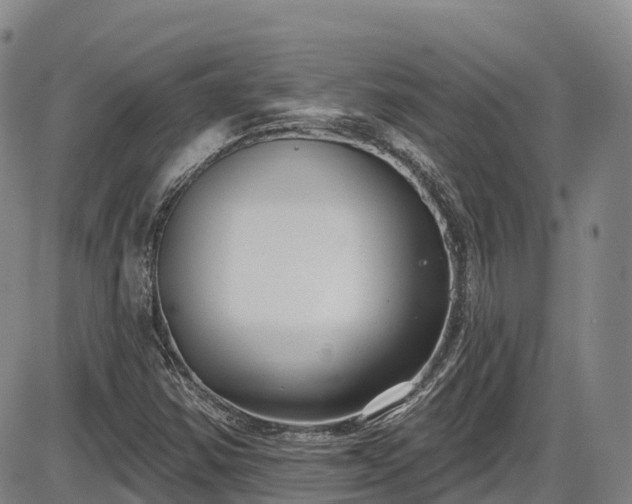 X0000086071354200703301056